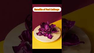 Benefits of Red Cabbage [upl. by Alix765]