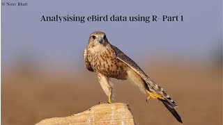 Analysing eBird data using R Part 1 [upl. by Nauqyt]