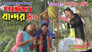 গাইছা বান্দর ৪০  GAISA BANDOR 40  কমেডি শর্টফিল্ম  অনুধাবন ৬৫  Toma Movie  KS Toma [upl. by Giltzow]