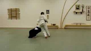 Aikido Iriminage Kaeshiwaza [upl. by Leander]