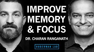 Dr Charan Ranganath How to Improve Memory amp Focus Using Science Protocols [upl. by Enyahc]