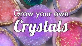 How to grow your own crystals  HG Craft  HelloGiggles [upl. by Yelyah]