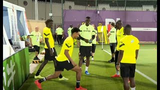 Suivez la première séance dentrainement des Lions au Qatar Mondial 2022 [upl. by Nyrem]