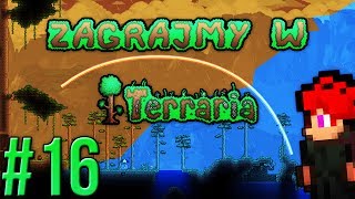 Zagrajmy w Terraria 16  Więc w drogę do nowych rud 12 [upl. by Herve686]