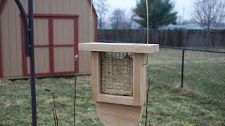 How to Make a Suet Bird Feeder woodloggercom [upl. by Langley]