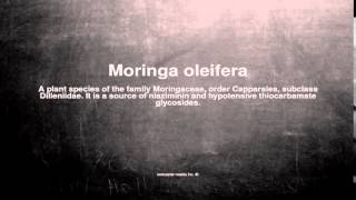 Medical vocabulary What does Moringa oleifera mean [upl. by Rossing384]