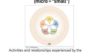 3 1 Bioecological model of human development [upl. by Winona]