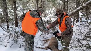 Initiation de chasse au chevreuil avec Sépaq Anticosti [upl. by Pinette]