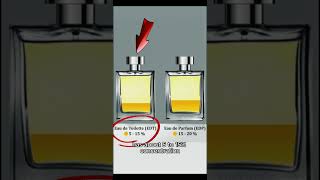 PERFUMERY 101 EDP vs EDT [upl. by Wright999]