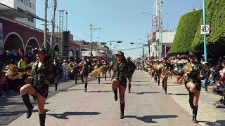 Lo mejor del desfile 20 de noviembre [upl. by Thisbe]