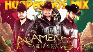 LOS ALAMEÑOS DE LA SIERRA 🔥 LAS MAS CHINGONAS PA BAILAR 💯 Huapangos Para Bailar MEGA MIX 💯 [upl. by Ilhsa]