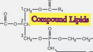 Compound Lipids Biochemistry [upl. by Alemac]