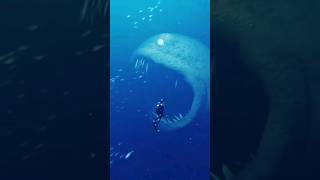 Worst Phobias to have 😳 phobia fear thalassophobia shorts [upl. by Heddy59]