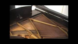 Aeolian Baby Grand Piano [upl. by Ruvolo19]