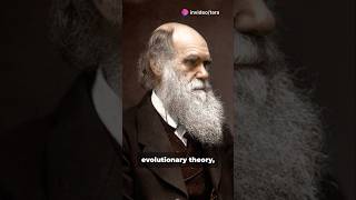 Evolutionary Theory of Life [upl. by Llebanna]