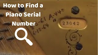 How to Find the Serial Number on a Piano  Care Tips  Heid Music [upl. by Dorolice438]