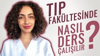 Tıp Fakültesinde Nasıl Ders Çalışılır  İstanbul Çapa Tıp İntern Doktordan Tavsiyeler [upl. by Schultz348]