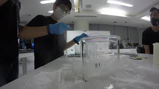 30316 Making Chitosan Solution Time Lapse [upl. by Weigle212]