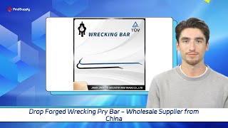 Drop Forged Wrecking Pry Bar  Wholesale Supplier from China [upl. by Adahs]