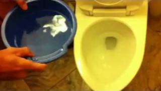 How things work Flushing a toilet using a bucket of water [upl. by Yarvis]