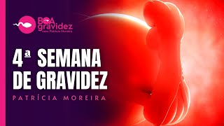 4 SEMANAS DE GRAVIDEZ  Gravidez Semana a Semana Atualizada [upl. by Lagasse]