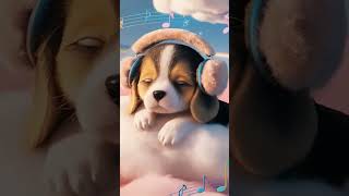 Baby lullabies baby sleep Music Musica para dormir bebes en 5 minutos [upl. by Nimsay743]