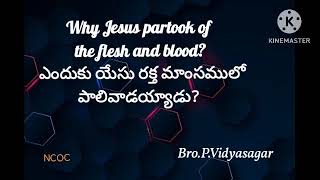 Why Jesus partook of the flesh and blood ఎందుకు యేసు రక్తమాంసములో పాలివాడయ్యాడు [upl. by Solitta]