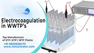 Electrocoagulation in WWTP  Netsol Water  STP  ETP  WTP [upl. by Neema]