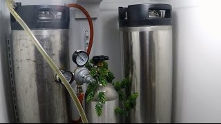 Homemade Belgian Saison Beer [upl. by Ham]