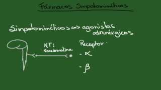 Agonistas Adrenérgicos Simpatomiméticos  Resumo  Farmacologia [upl. by Casilda736]