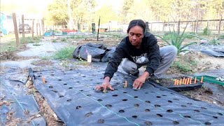 Planting My First Bed Of Flowers  Vlog gardening cutflowers [upl. by Stanhope]