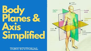 BODY PLANES amp AXIS SIMPLIFIED  Sagittal Coronal amp Transverse Planes [upl. by Parnas810]