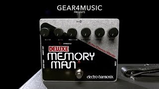 Electro Harmonix Deluxe Memory Man XO Analog Delay  Gear4music demo [upl. by Erbas502]