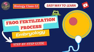 Embryology Frog Fertilization ExplainedBioScience Guide [upl. by Yle]