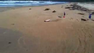 Vintage RC Cox Bandido action  Umina Beach Australia [upl. by Debor]