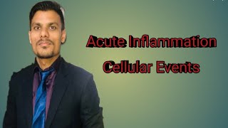 Pathogenesis of Acute Inflammation Cellular Events by DrShyam [upl. by Nugesulo735]