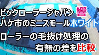 ローラーの毛抜け処理の有無の差を比較。比較するローラーはビックローラージャパンの響とハケ市のみにスモールローラーホワイトです。 [upl. by Ardnael]