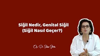 SİĞİL NEDİR GENİTAL SİĞİL  Siğil Nasıl Geçer   Op Dr Seher Şirin [upl. by Laise]