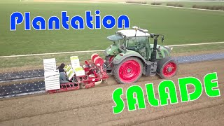 Plantation des SALADES BIO [upl. by Cantone]