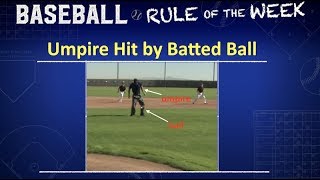 Umpire Hit by Batted Ball [upl. by Notluf]