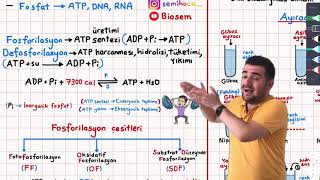 10ATP Metabolizma ve Ayıraçlar Konu Anlatımı 9sınıf biyoloji Konu Anlatımı PDF Tyt Biyoloji 2023 [upl. by Krisha]