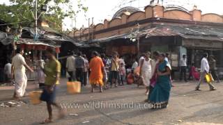 Kalighat temple Kolkata [upl. by Oirtemed]