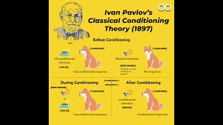 Classical Conditioning Theory Ivan Pavlov Experiment BEd [upl. by Chaddy]