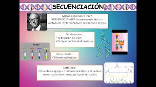 Técnicas de la Biología Molecular [upl. by Anoel]