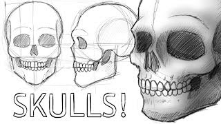 How to Draw Skulls [upl. by Quin575]