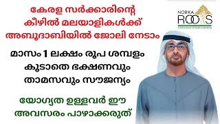 Norka RootsJob Vacancy in abudhabiUae jobs malayalamGulf jobs in malayalam [upl. by Kiah]