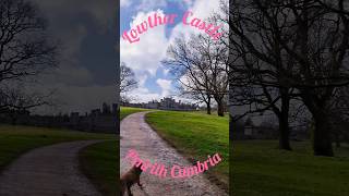 Lowther Castle dog Walk castle history dog [upl. by Ititrefen270]