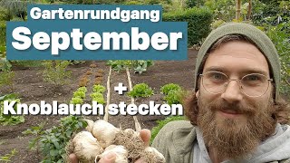 Der Garten im September  Knoblauch stecken und Aussaaten amp Rückblick Sommer 2024 [upl. by Jan602]