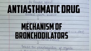 Mechanism of action for Bronchodilator  Beta 2 Agonist Anticholinergic agents  Methylxanthine [upl. by Wolfgram139]