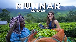 Munnar Suryanelli Kerala in the Monsoon The best vlog Ive ever made  WeekendTrips India [upl. by Tikna]